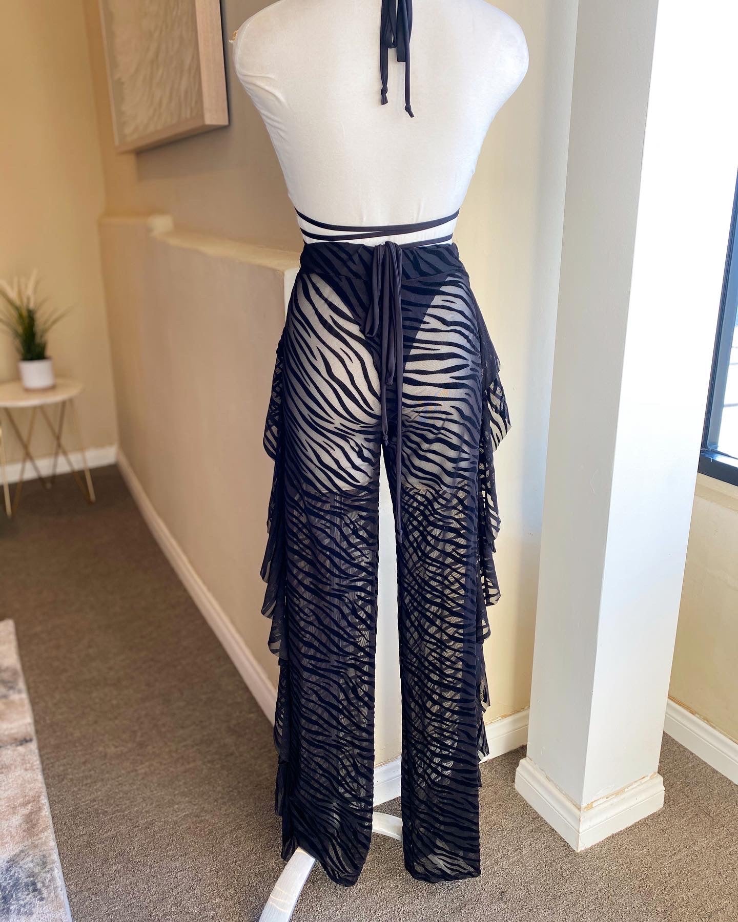 Mesh Bikini Pants Set