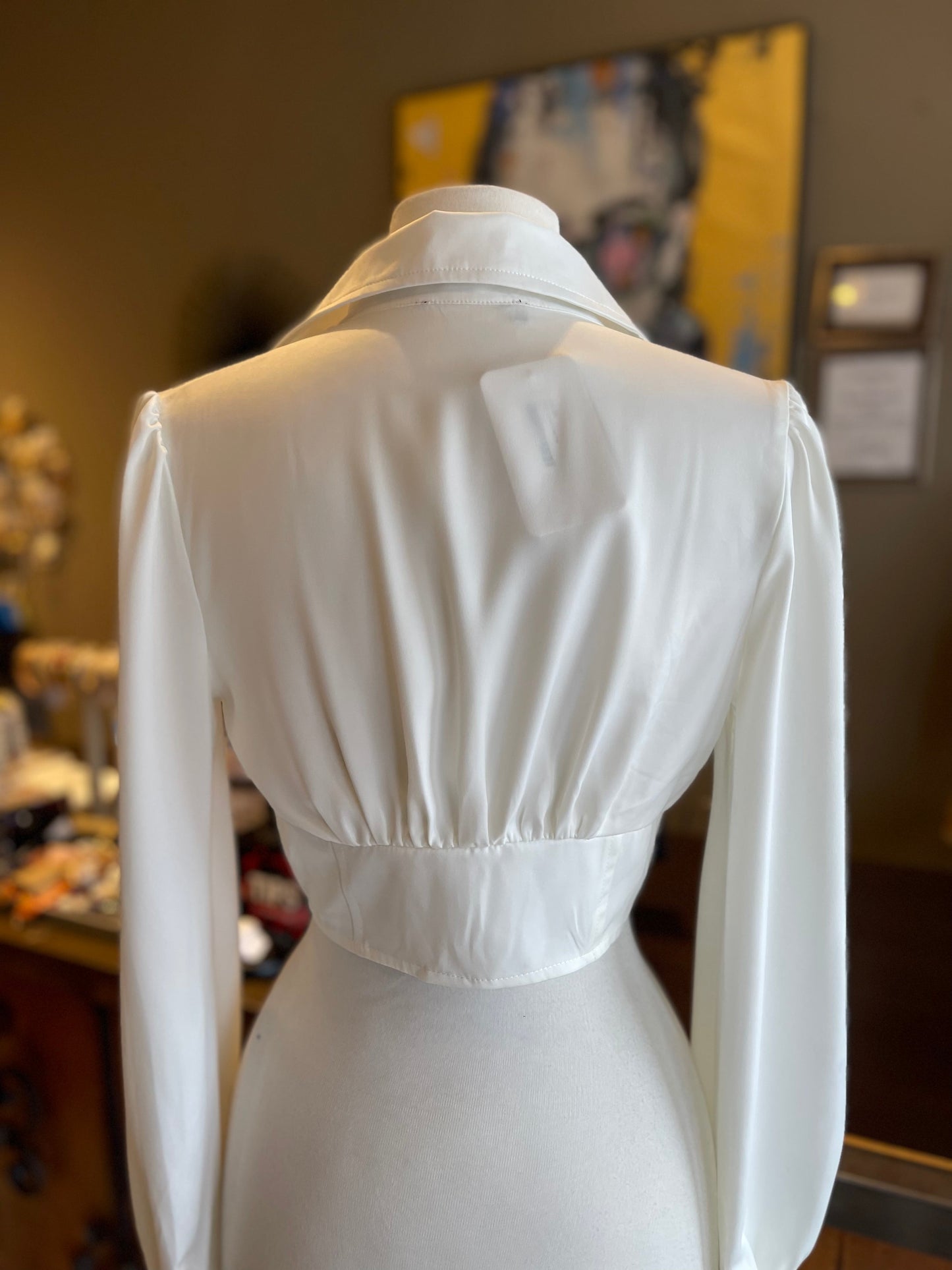 Collar Corset Crop Top