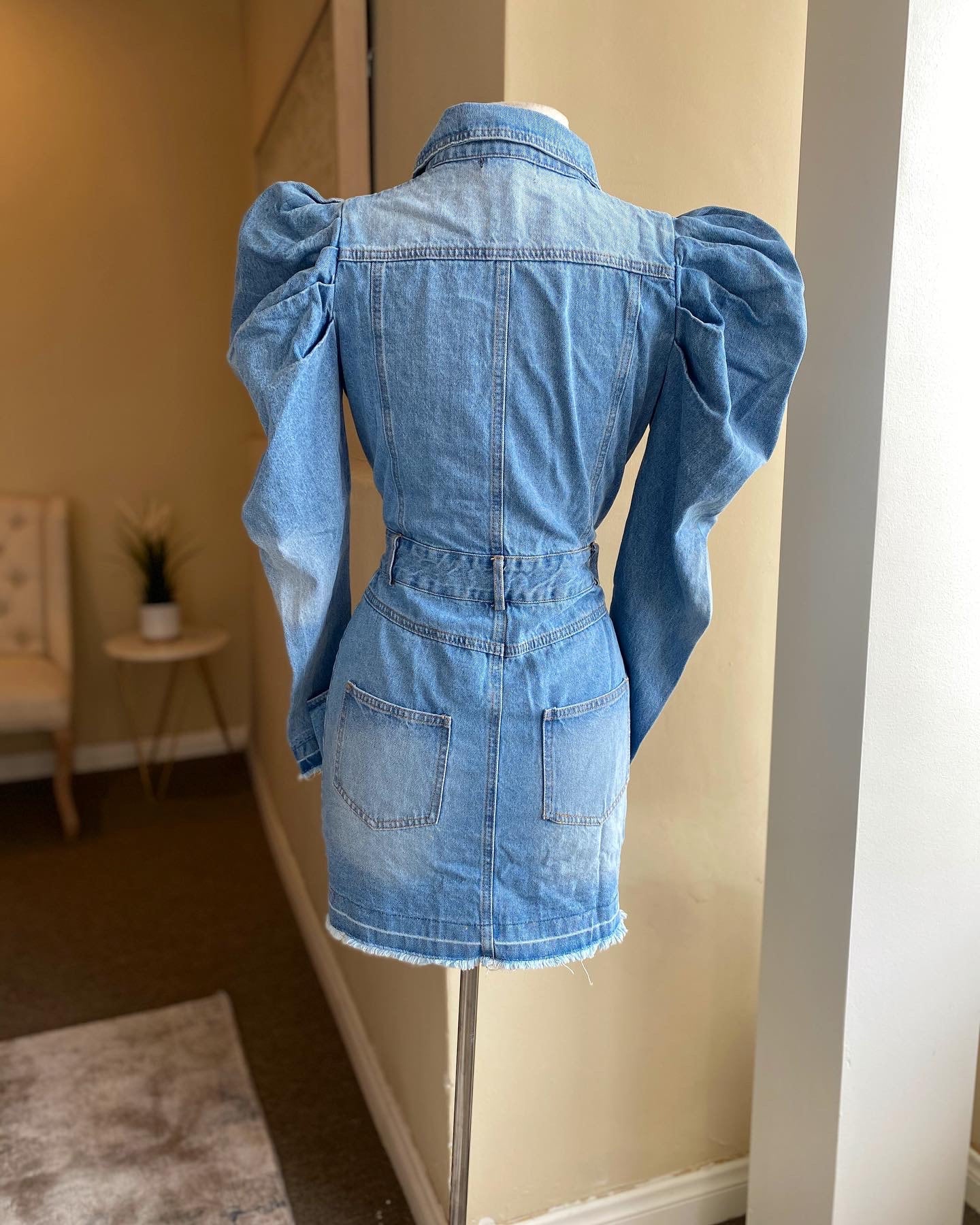 Puff Button Down Denim Dress