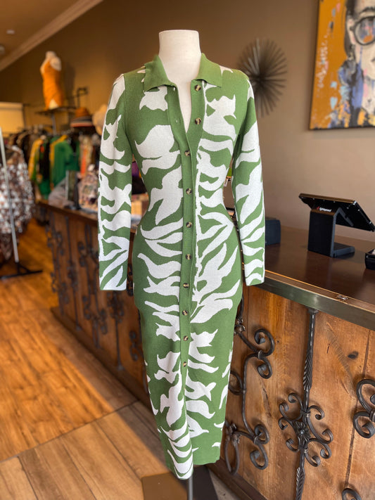 Button Front Long Sleeve Dress