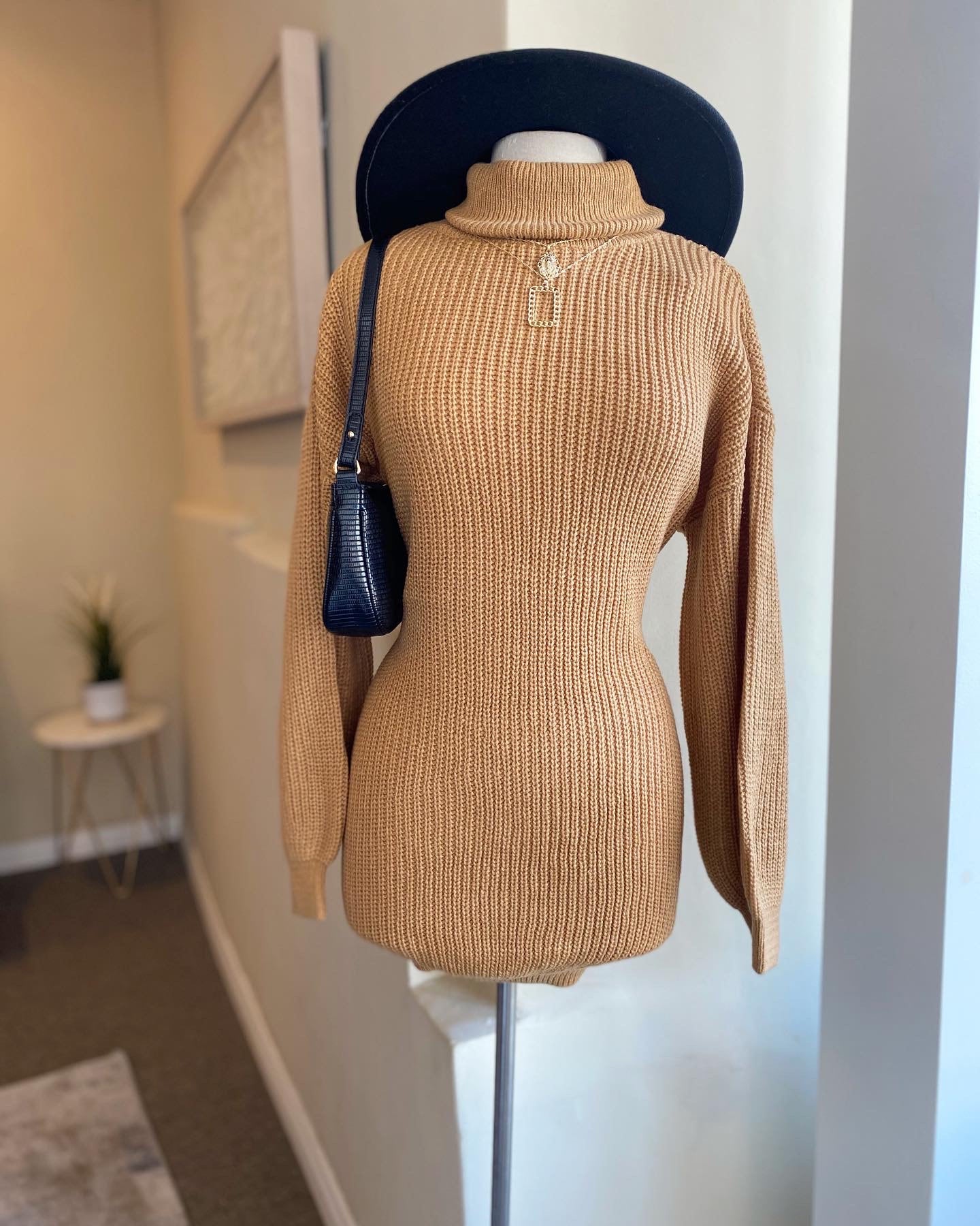 Turtle Neck Sweater Dress