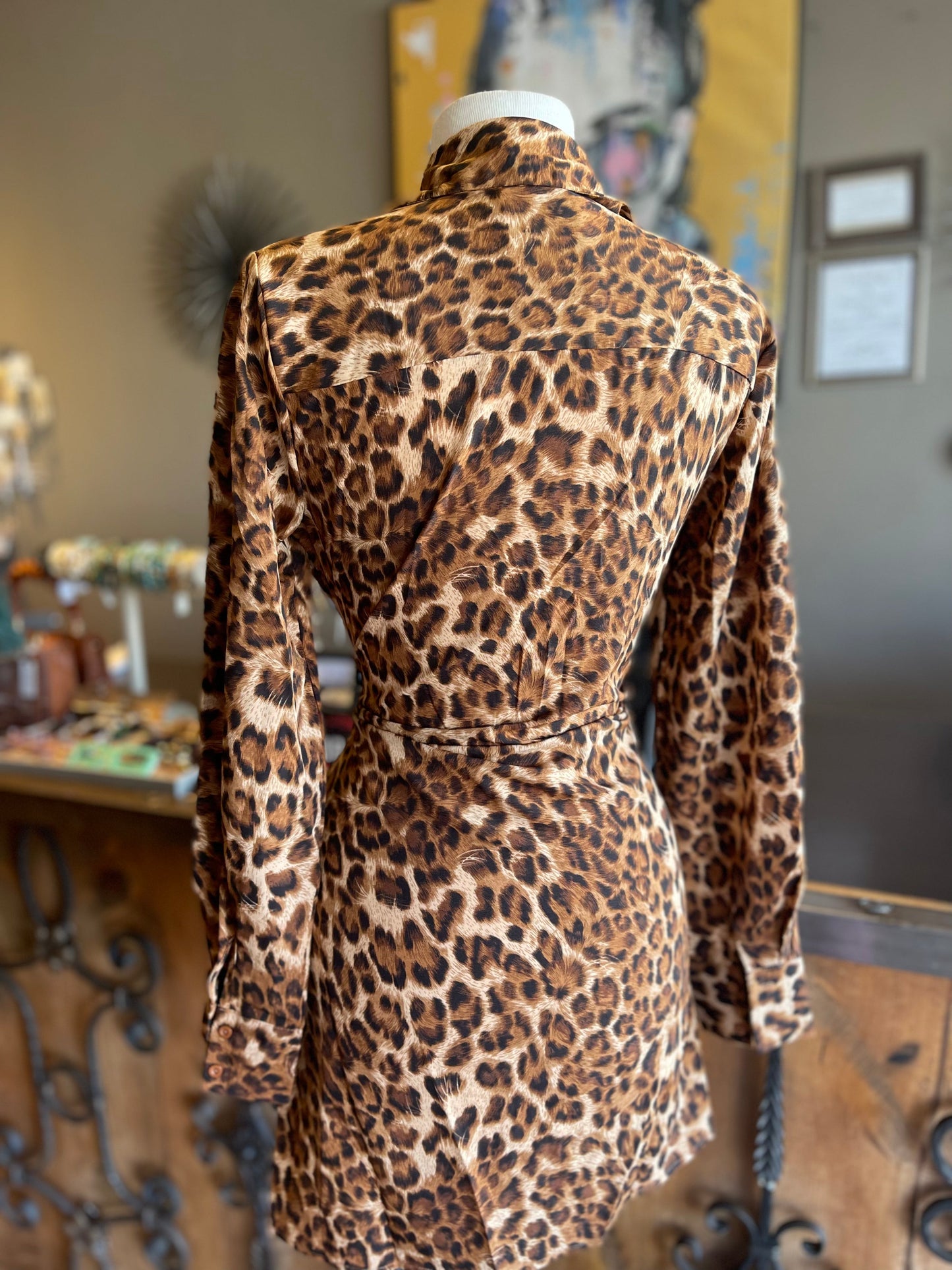 Printed Ruched Waist Button Dress