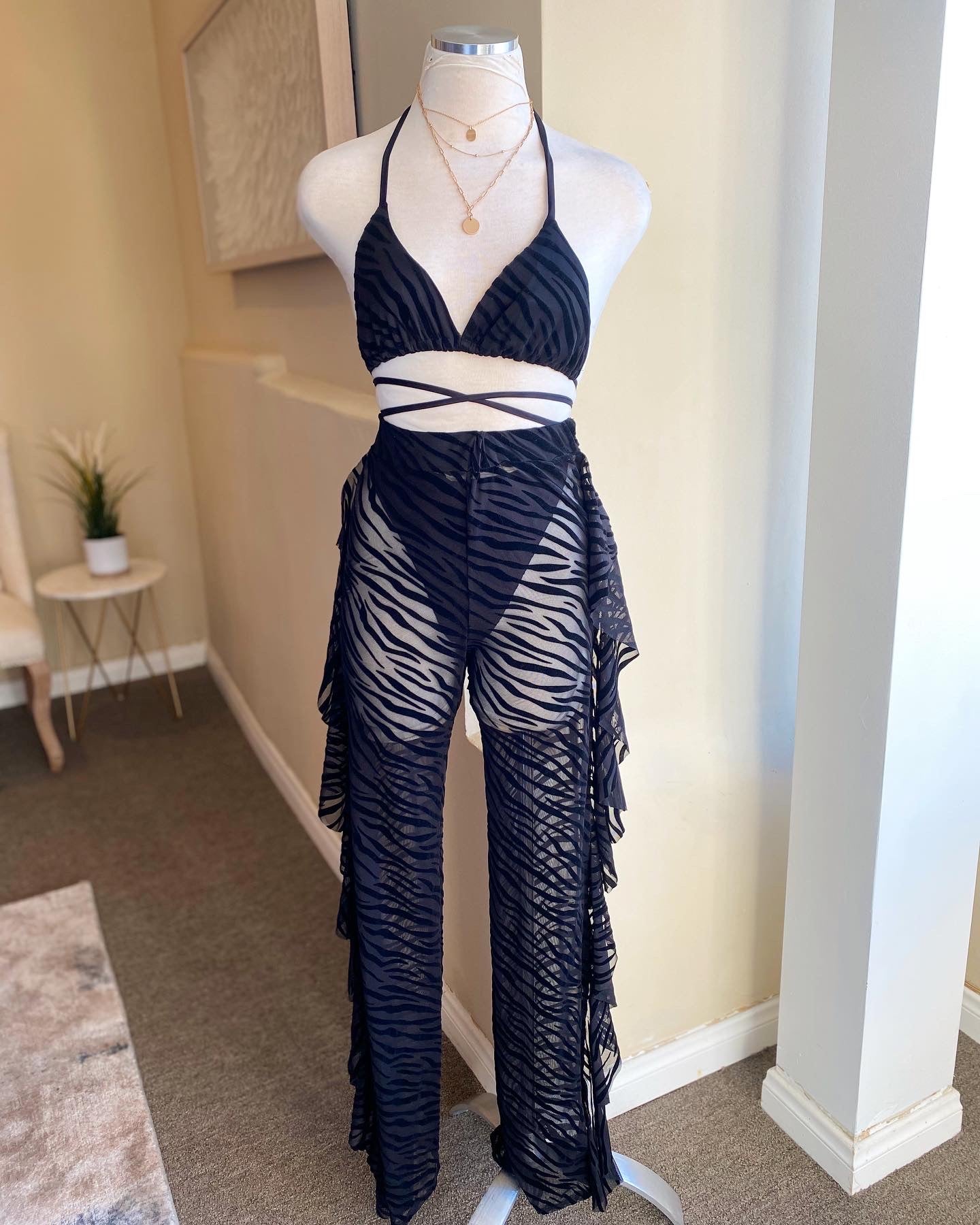 Mesh Bikini Pants Set