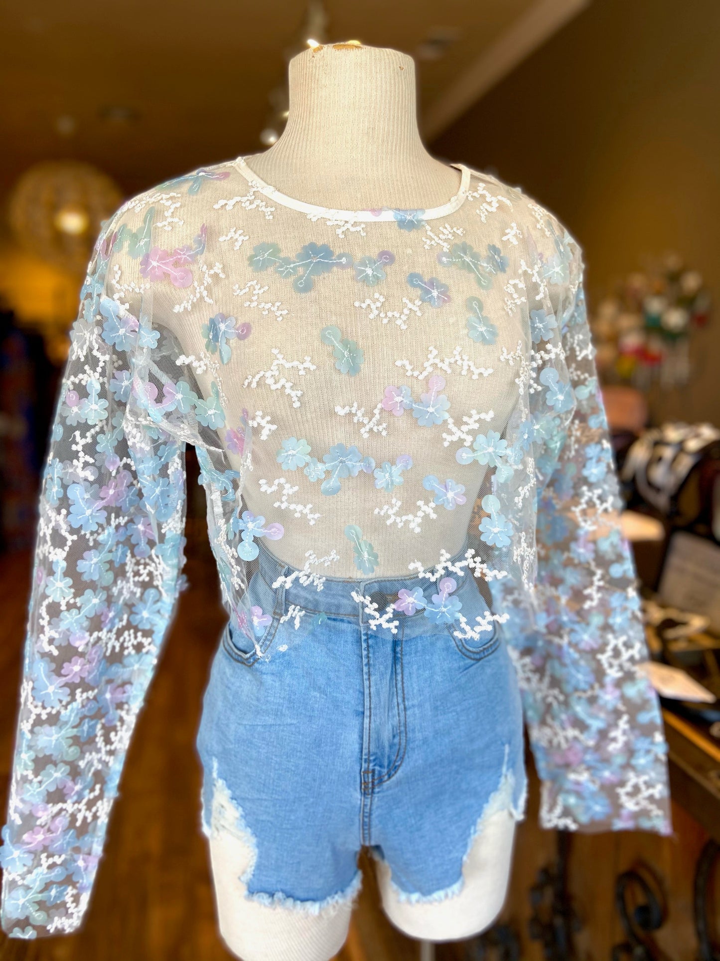 Mesh Embroidery Top